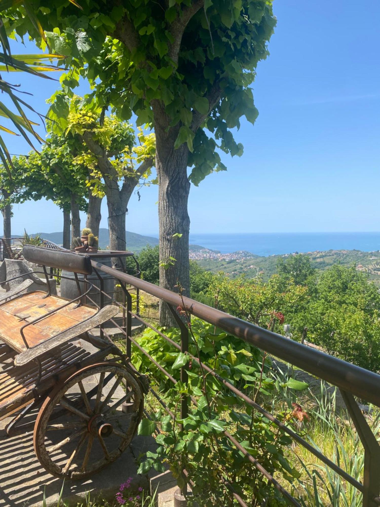 B&B Il giardino di Armida Ogliastro Cilento Esterno foto